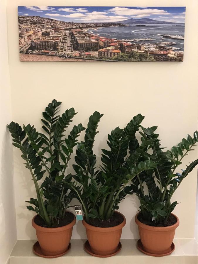Costa Apartment نابولي المظهر الخارجي الصورة